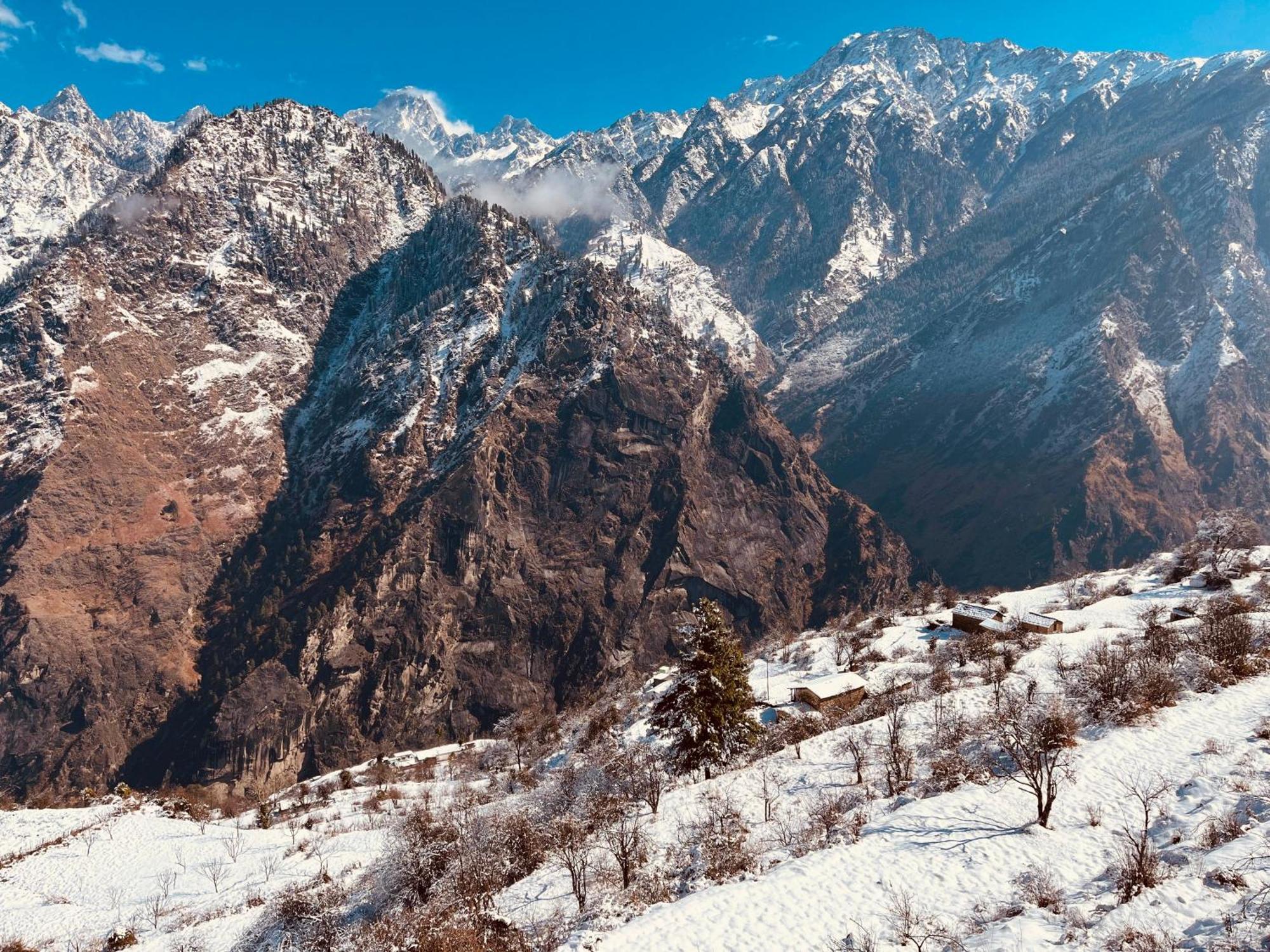 Faraway Cottages, Auli Joshīmath Zewnętrze zdjęcie