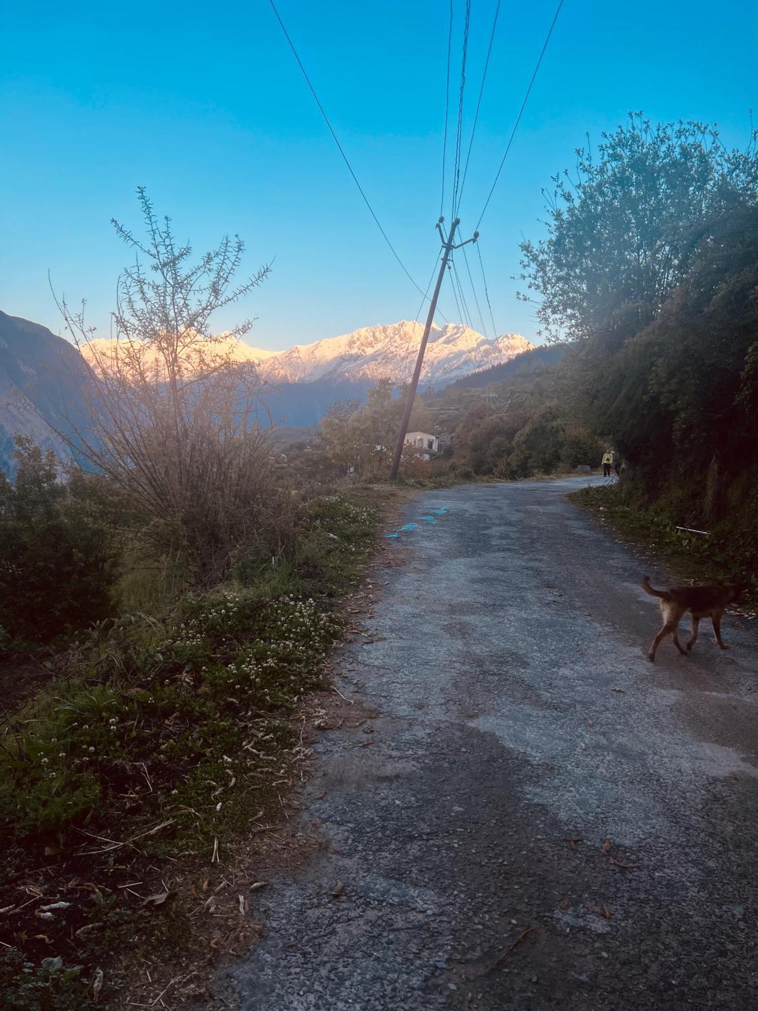 Faraway Cottages, Auli Joshīmath Zewnętrze zdjęcie