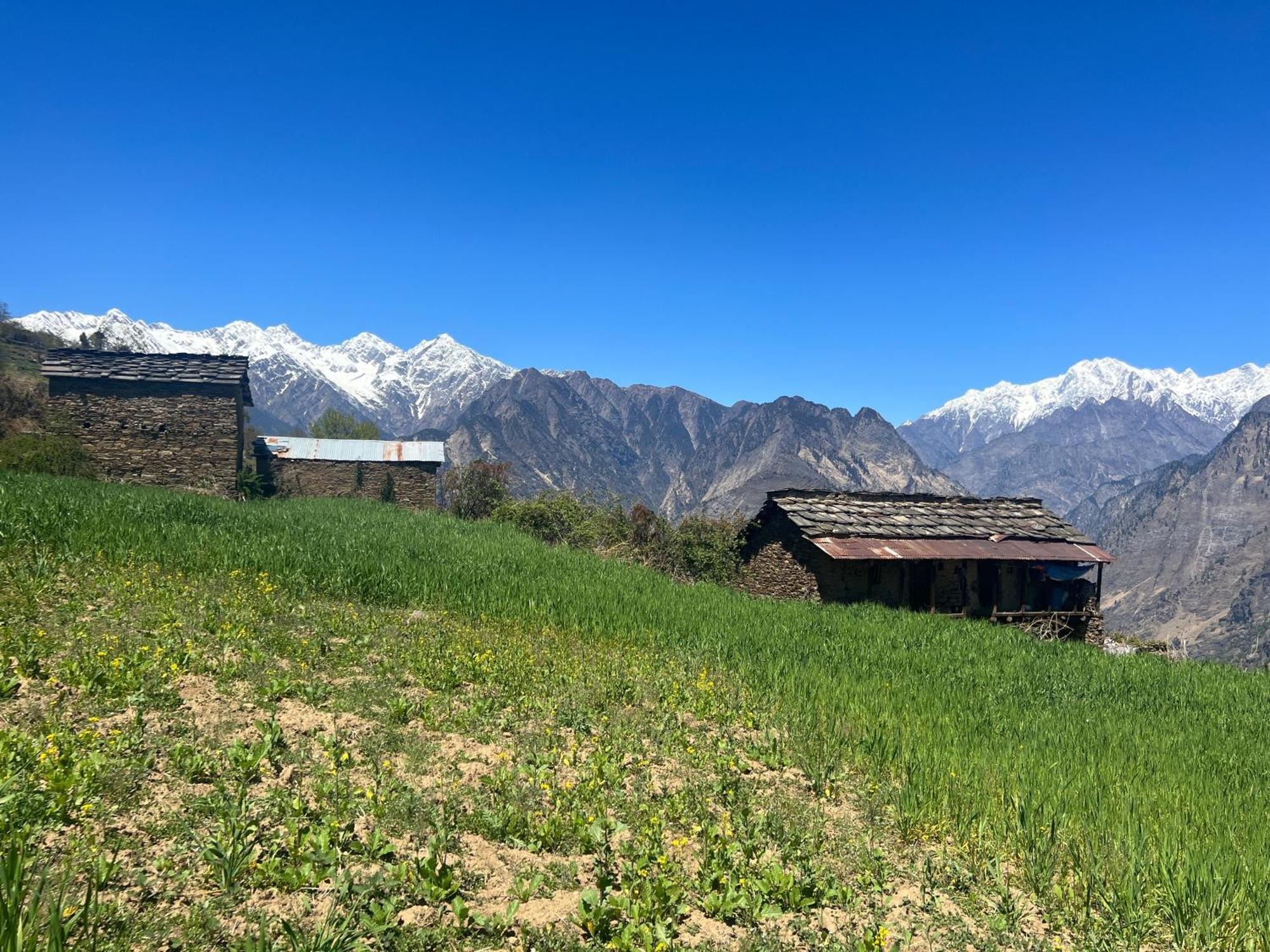 Faraway Cottages, Auli Joshīmath Zewnętrze zdjęcie