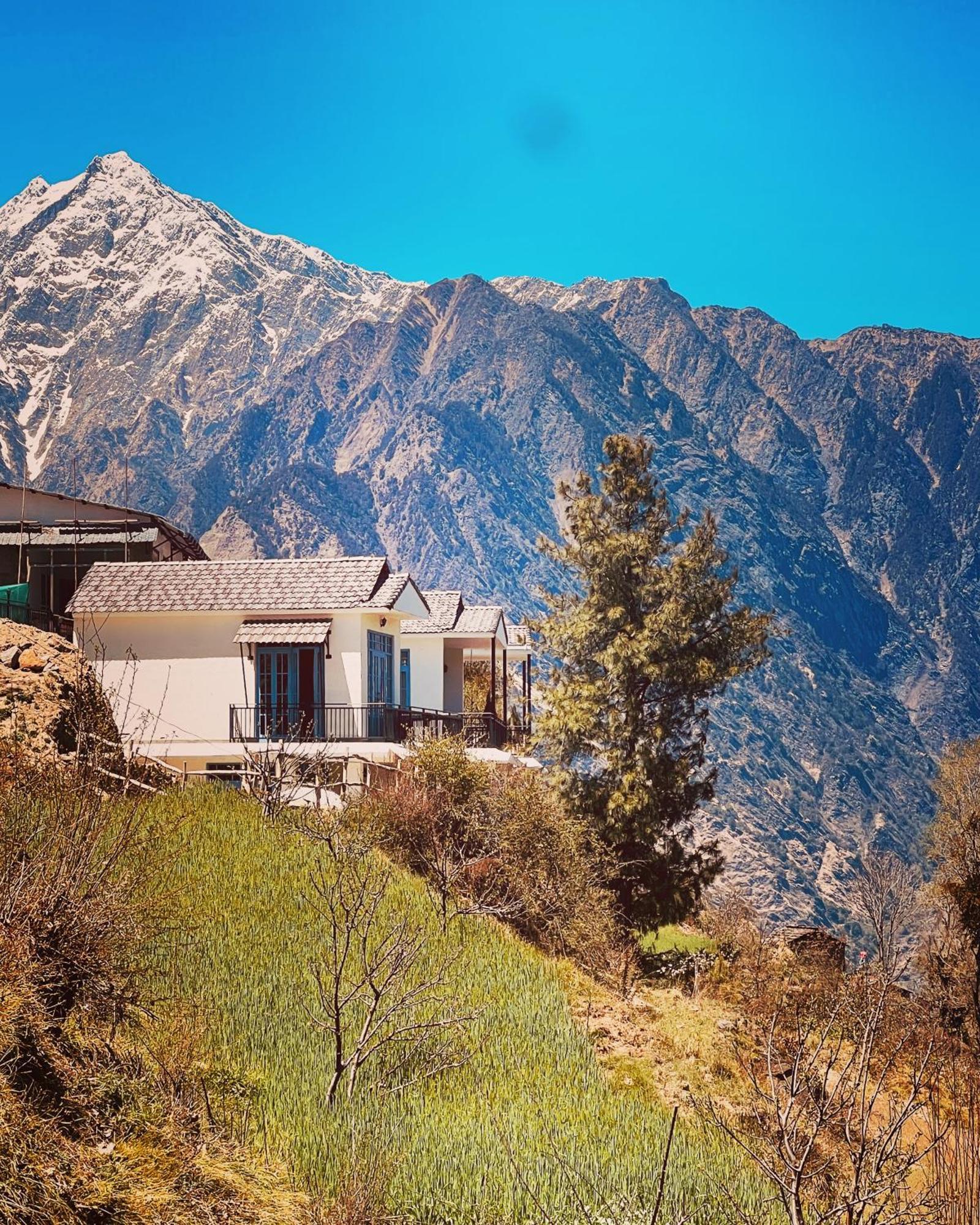 Faraway Cottages, Auli Joshīmath Zewnętrze zdjęcie