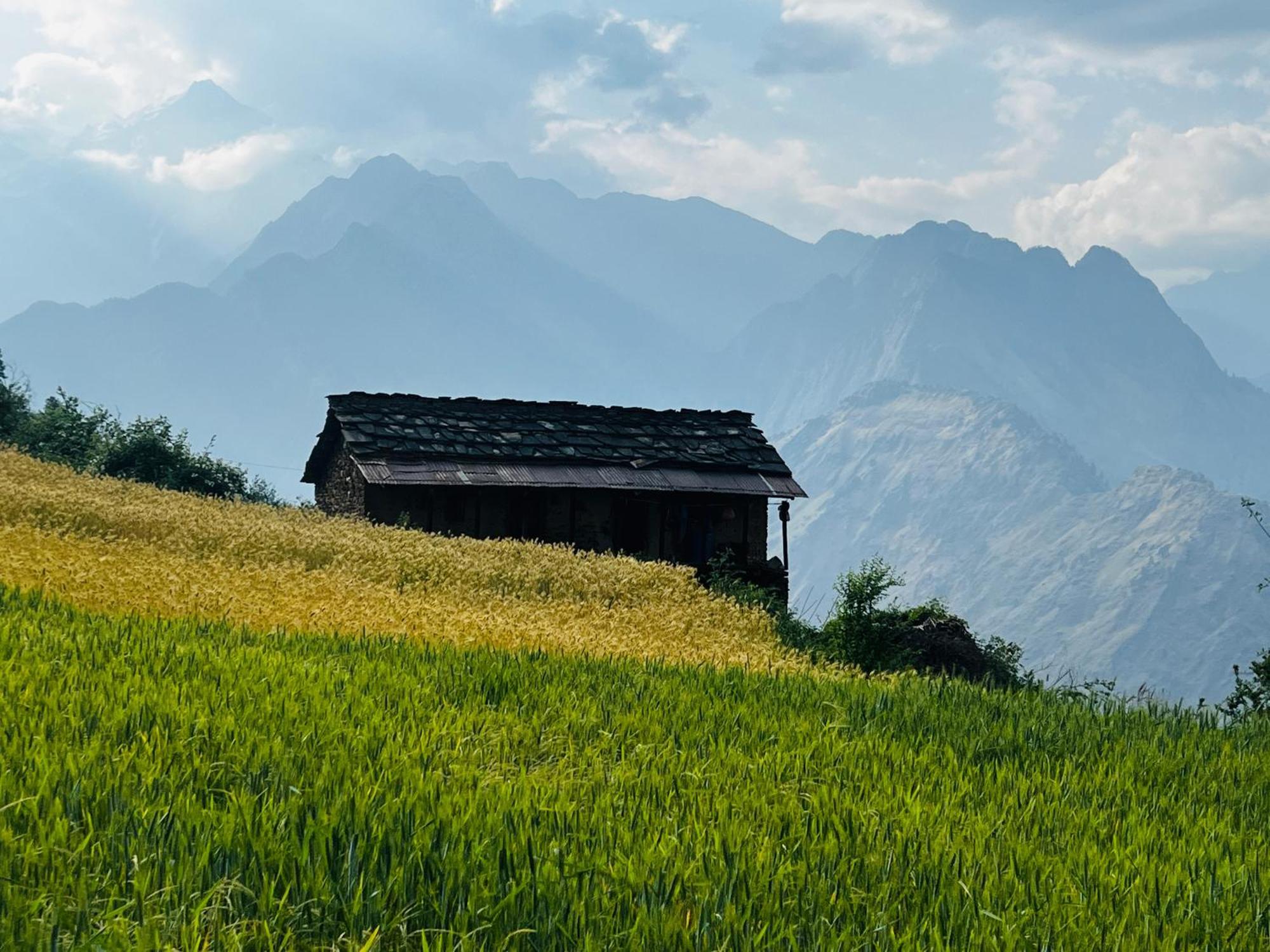 Faraway Cottages, Auli Joshīmath Zewnętrze zdjęcie